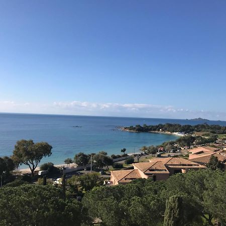 Superbe Appartement T2 Vue Magnifique Sanguinaires A 50M De La Plage Ajaccio  Buitenkant foto